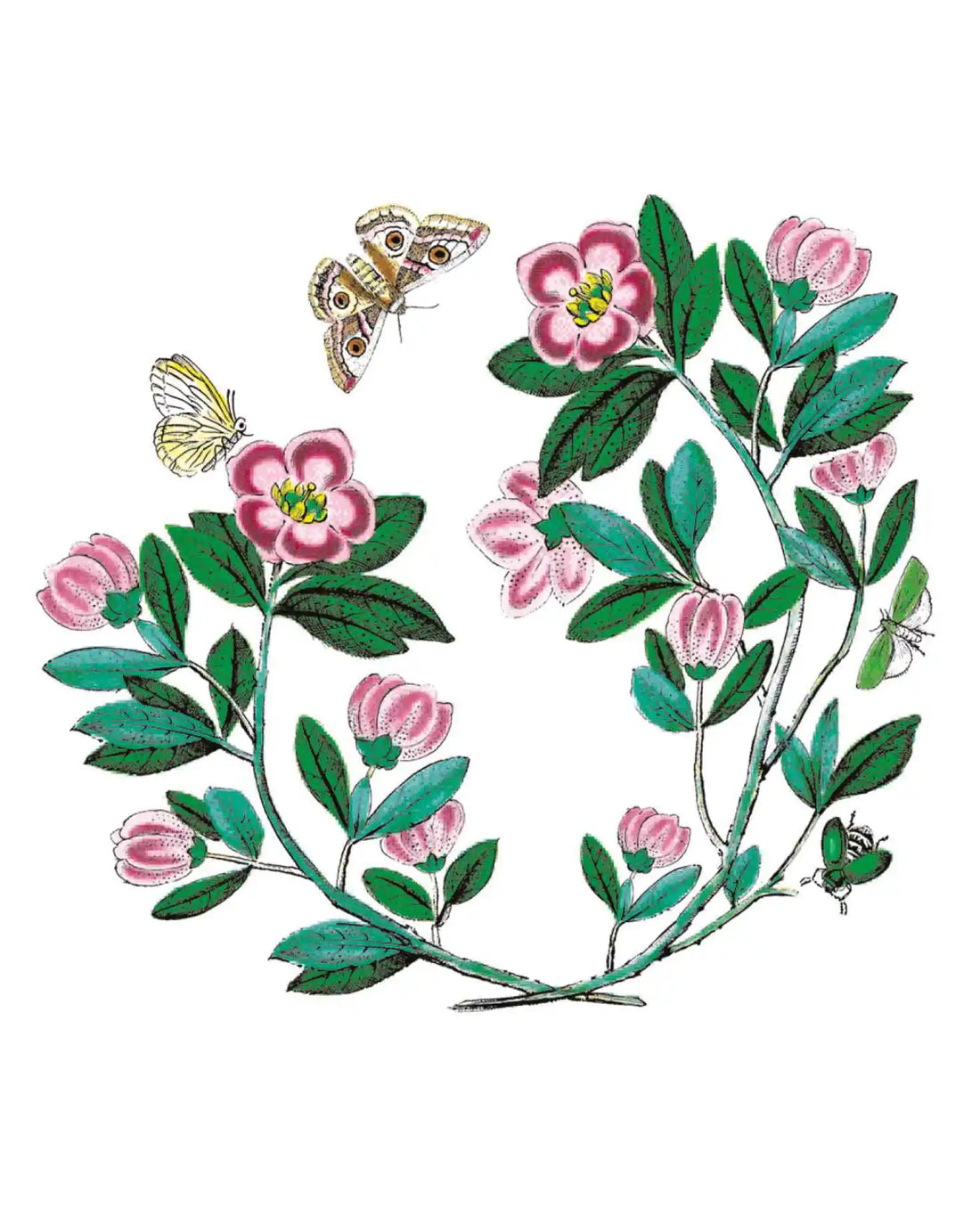 Five Iconic Floral Pottery Patterns featuring Botanic Garden by Portmeirion