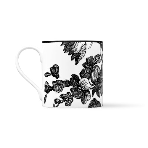 Duchess China 1888 - Botanical Mug No. 6