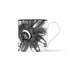 Duchess China 1888 - Botanical Mug No. 5