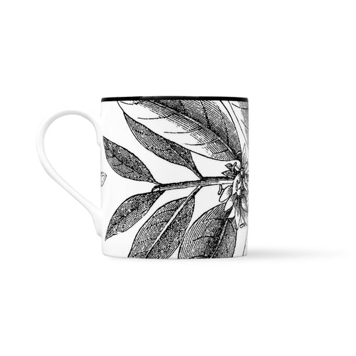 Duchess China 1888 - Botanical Mug No. 4