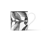 Duchess China 1888 - Botanical Mug No. 4