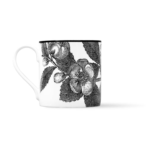Duchess China 1888 - Botanical Mug No. 3