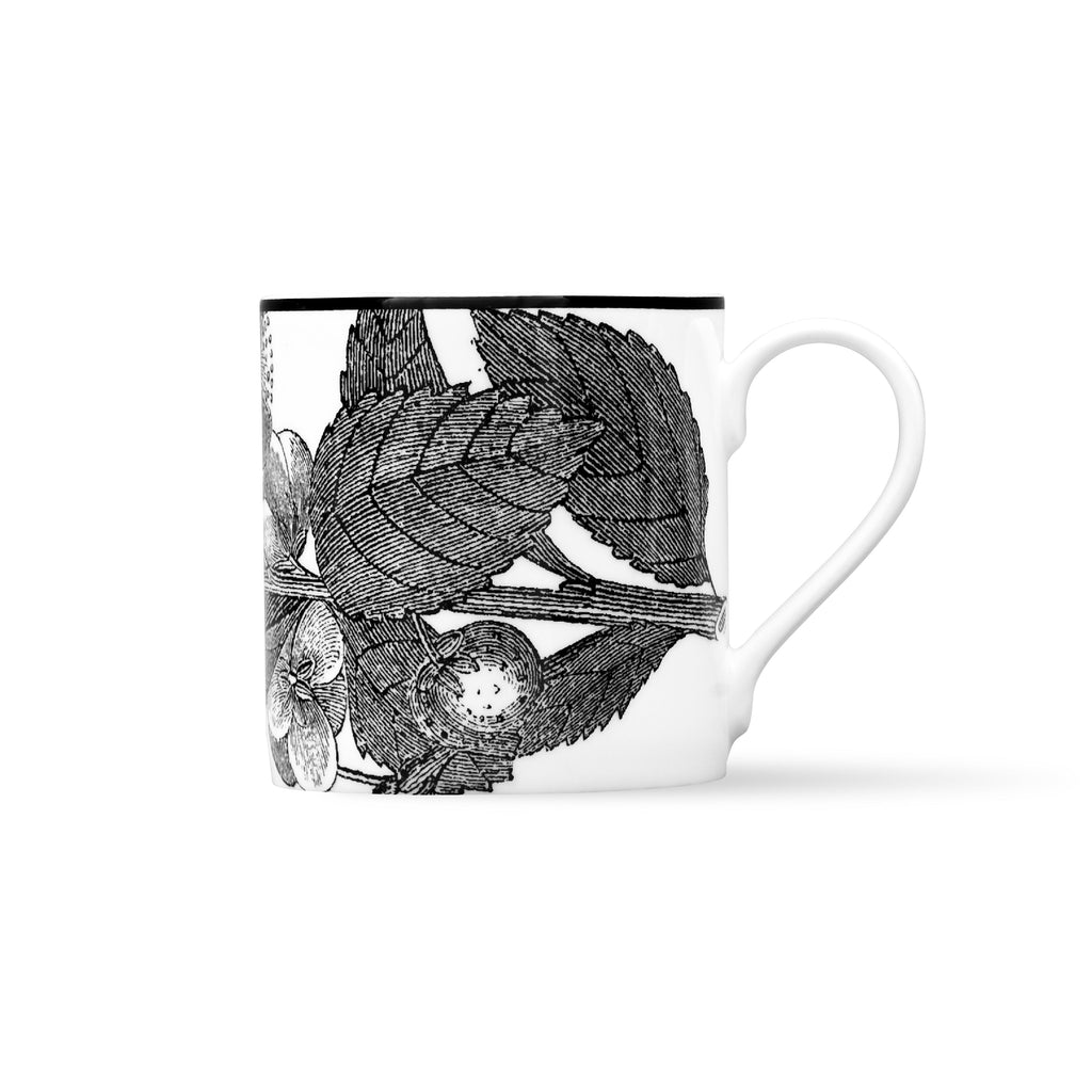 Duchess China 1888 - Botanical Mug No. 3