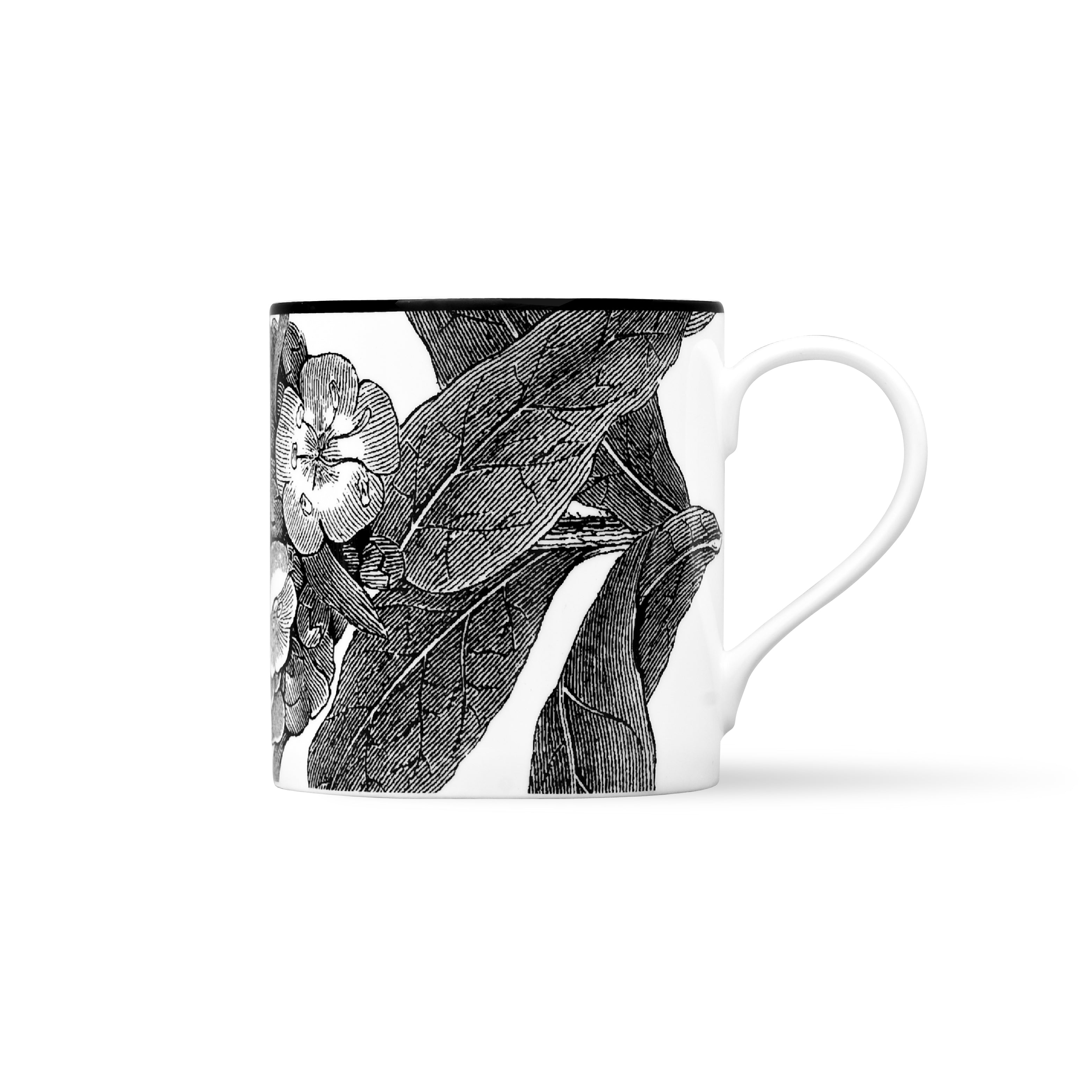 Duchess China 1888 - Botanical Mug No. 2