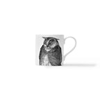 Duchess China 1888 - Metamorphosis Owl Balmoral Mug