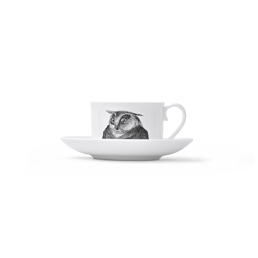 Duchess China 1888 - Metamorphosis Stirling Teacup and Saucer Owl