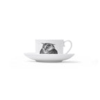 Duchess China 1888 - Metamorphosis Stirling Teacup and Saucer Owl