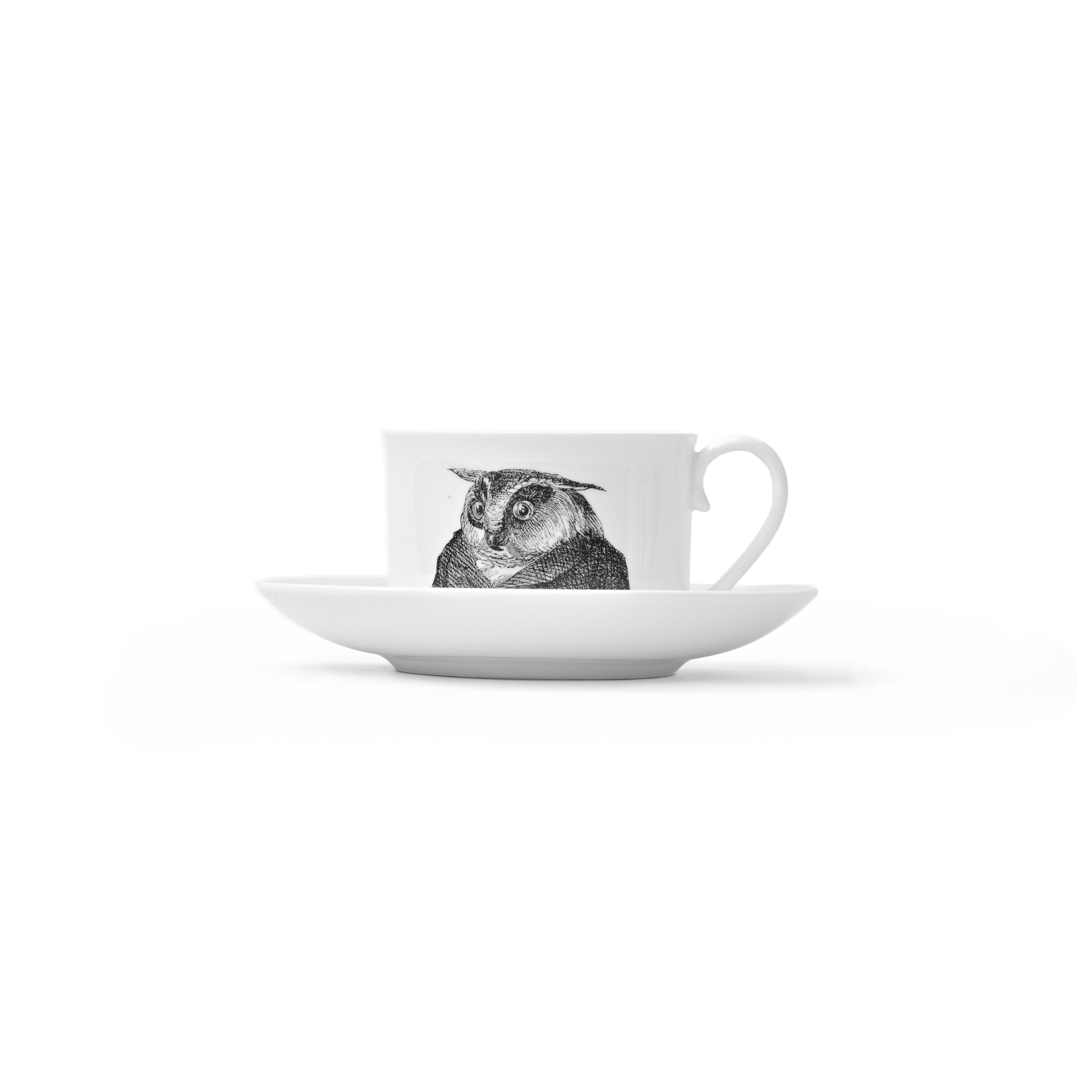 Duchess China 1888 - Metamorphosis Stirling Teacup and Saucer Owl