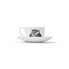Duchess China 1888 - Metamorphosis Stirling Teacup and Saucer Owl