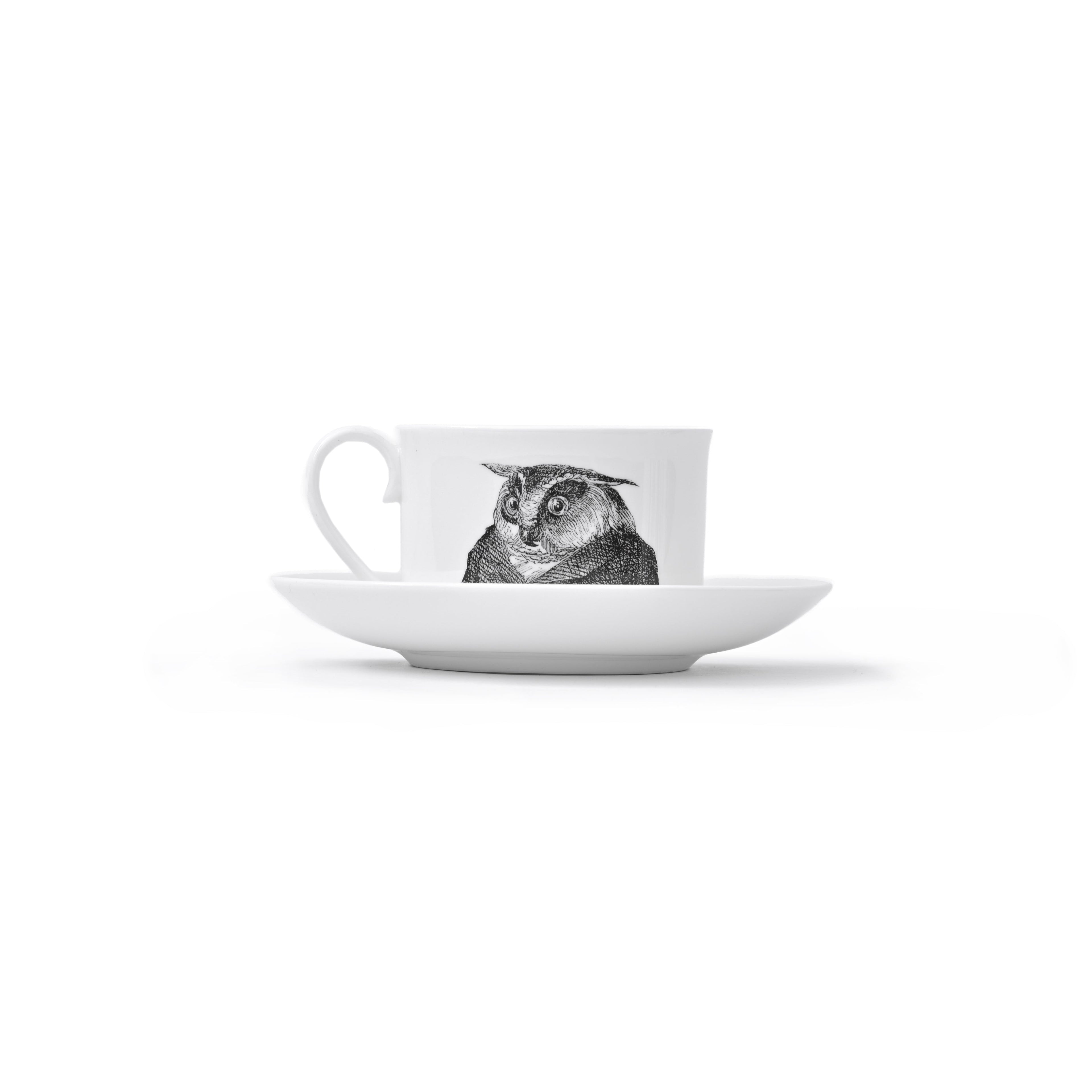 Duchess China 1888 - Metamorphosis Stirling Teacup and Saucer Owl