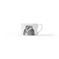 Duchess China 1888 - Metamorphosis Stirling Teacup and Saucer Owl