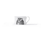 Duchess China 1888 - Metamorphosis Stirling Teacup and Saucer Owl