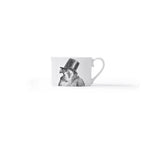 Duchess China 1888 - Metamorphosis Stirling Teacup and Saucer Kestrel