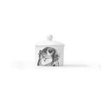 Duchess China 1888 - Metamorphosis Stirling Lidded Sugar