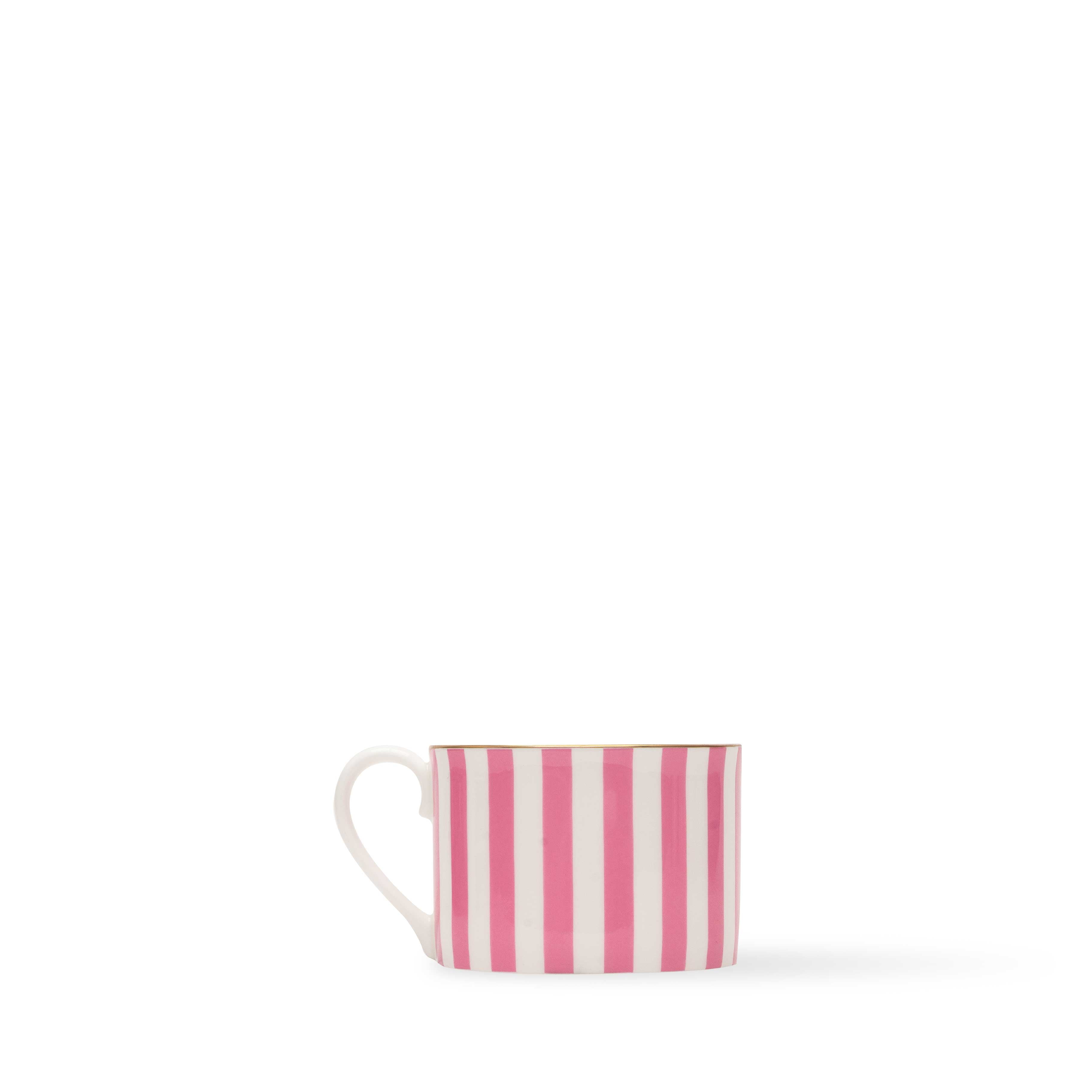 Duchess China 1888 - Regency Rose Pink Stripe Tea Cup & Saucer